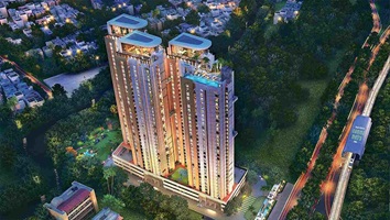 Purva Blue Belle Feature Image